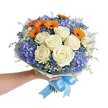 Serene Petal Harmony