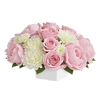 Delicate Petal Cascade