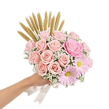 Pastel Pink Roses