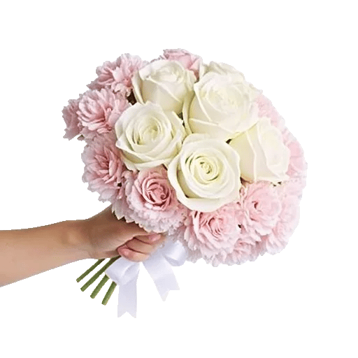 Pastel Pink Roses