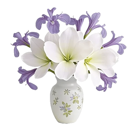 Ivory Blossom Radiance