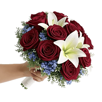 Blushing Rose Symphony