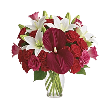 Crimson Blossom Harmony
