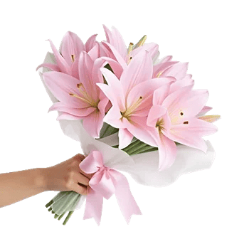 Blushing Rose Symphony