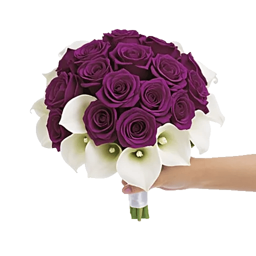 Blushing Rose Symphony