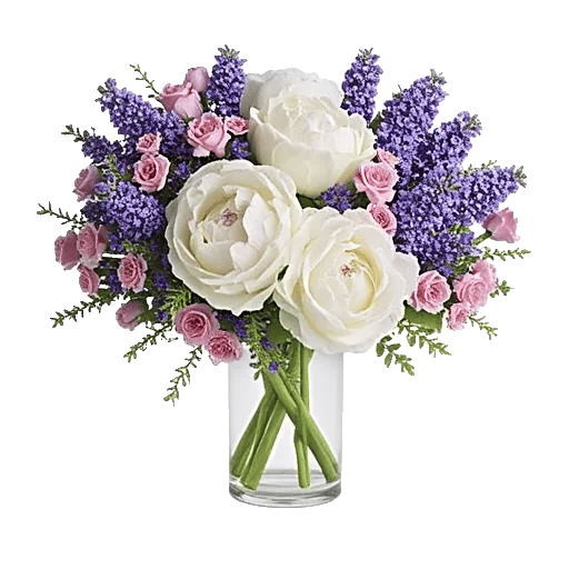 Ivory Blossom Radiance