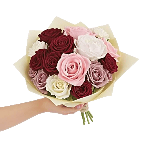 Peony Petal Harmony