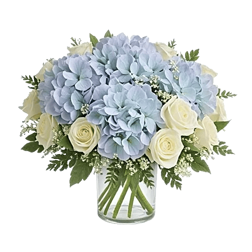 Serene Petal Harmony