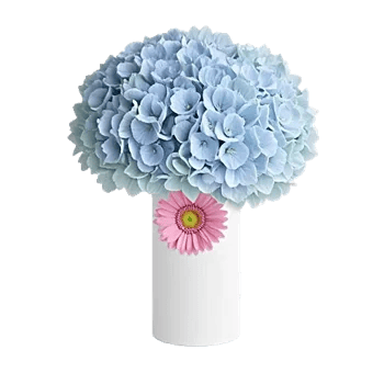 Serene Petal Harmony
