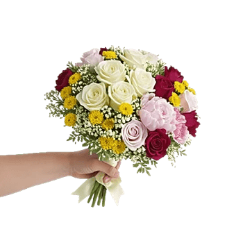 Ivory Blossom Radiance