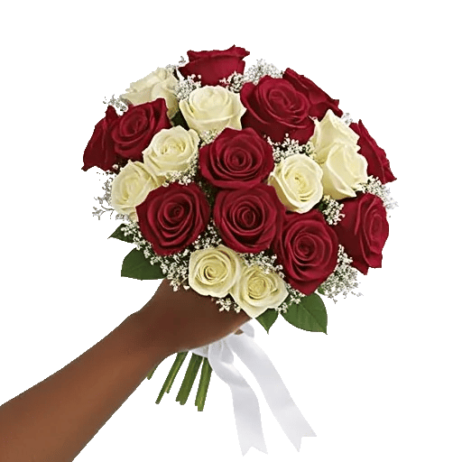 Crimson Rose Elegance