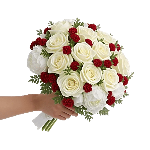 Ivory Blossom Radiance