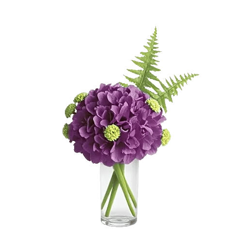 Ivory Blossom Radiance