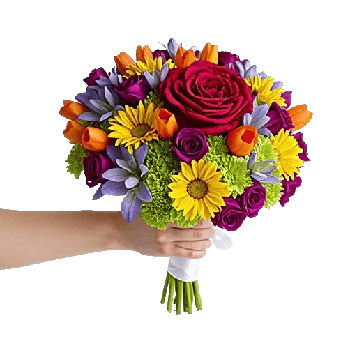 Blushing Rose Symphony