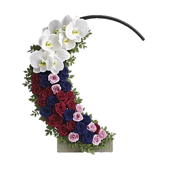 Modern White Orchids