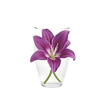 Graceful Lily Display