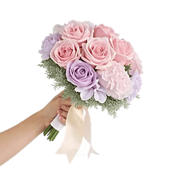 Pastel Pink Roses