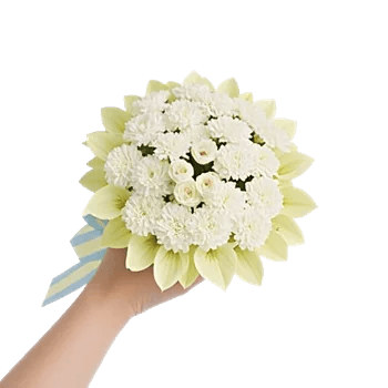 Ivory Garden Grace
