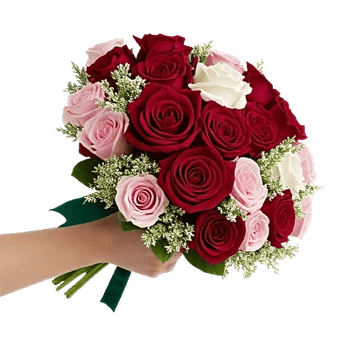 Crimson Rose Elegance