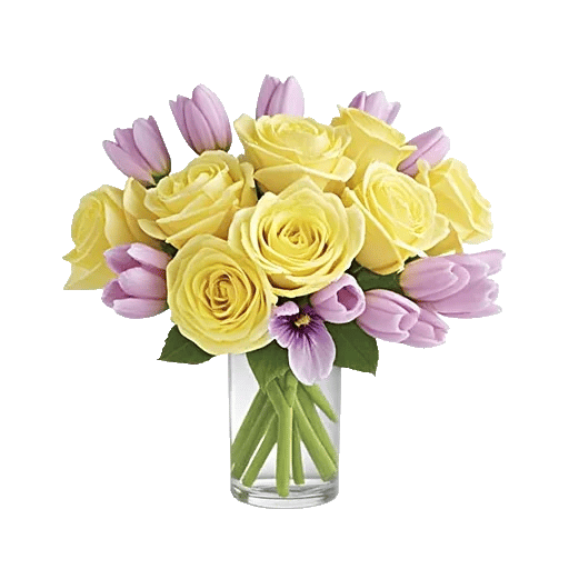 Ivory Blossom Radiance