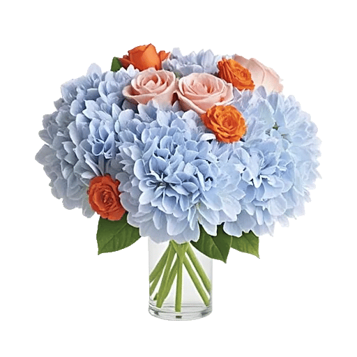 Serene Petal Harmony
