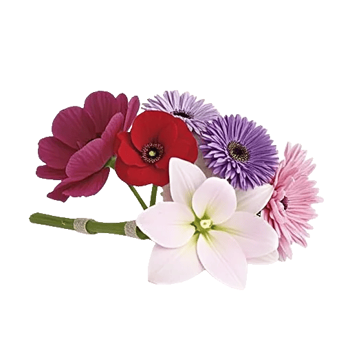 Ivory Blossom Radiance