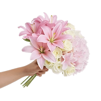 Blossom Harmony Display