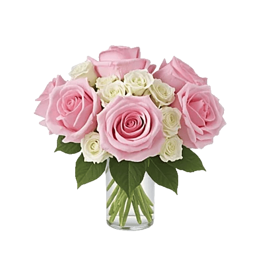 Pink Pastel Roses