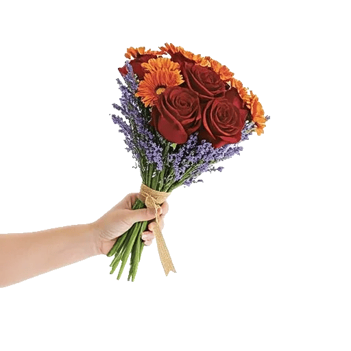 Petal Harmony Bliss