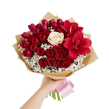 Scarlet Tulip Splendor