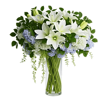 Ivory Blossom Radiance