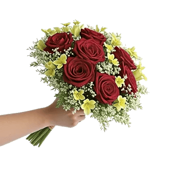 Blushing Rose Symphony