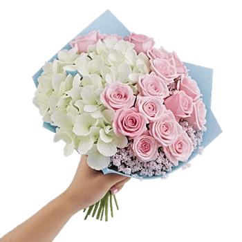 Serene Petal Harmony