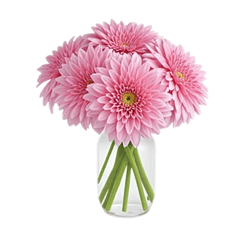 Crimson Blossom Harmony