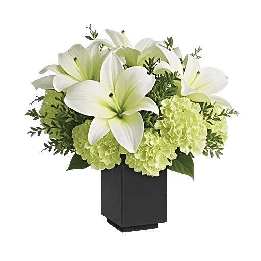 Ivory Blossom Radiance