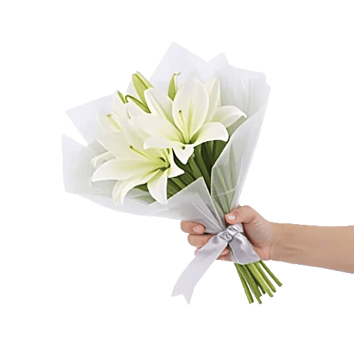 Minimalist White Orchids