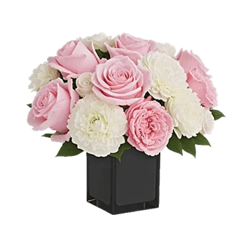 Petal Radiance Bliss