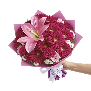 Blushing Rose Symphony