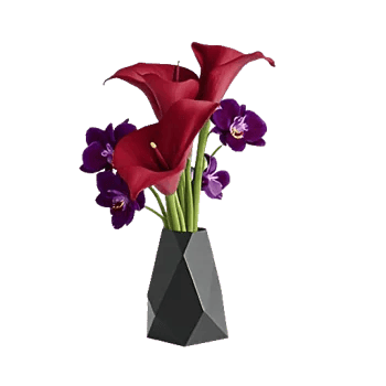 Elegant Calla Lilies