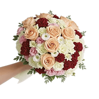 Ivory Garden Grace