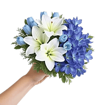 Blossom Petal Serenity