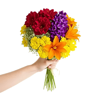 Petal Harmony Bliss