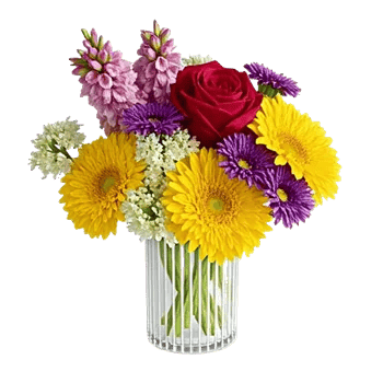 Golden Bloom Radiance