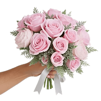 Pastel Pink Roses