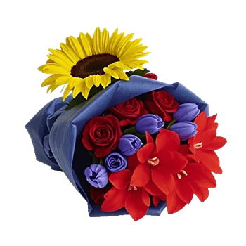 Tropical Sunflower Burst