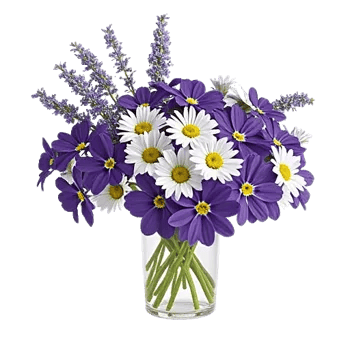 Delicate Petal Cascade