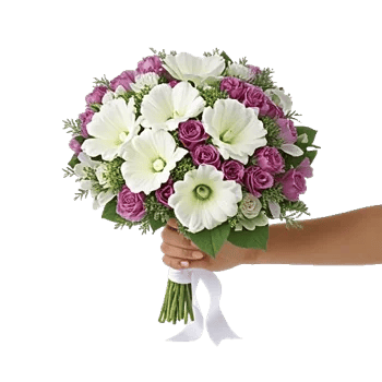 Ivory Blossom Radiance