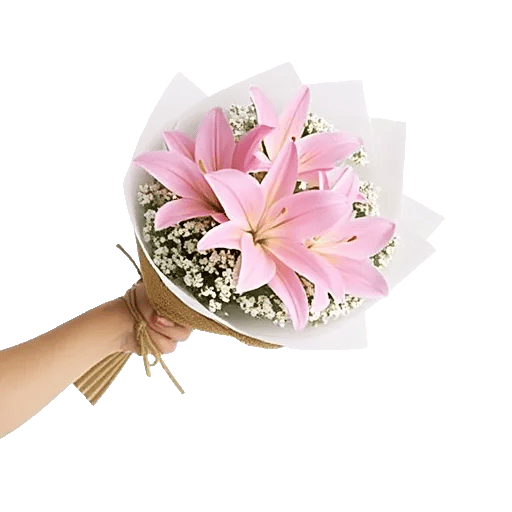 Blossom Petal Serenity