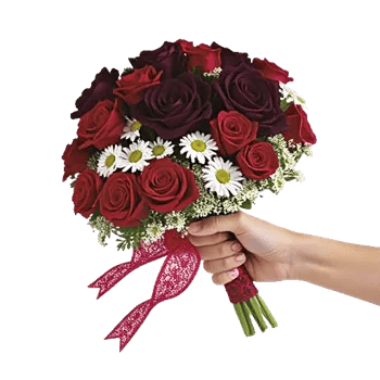 Crimson Rose Elegance