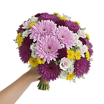 Blossom Petal Serenity